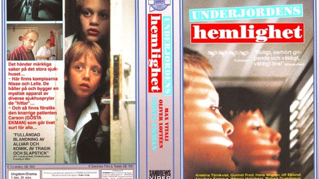 ⁣Tecknat Barn Svenska:Underjordens Hemlighet (1991) VHSRIPPEN (Svenska) Hela Filmen (HD)